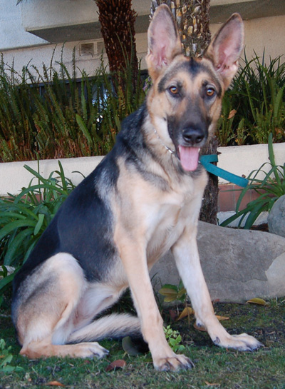 Asia von Zermatt sitting 2